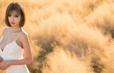  ［站内站长技巧］什么是站长网站内部优化？站长网站内部优化要做什么？